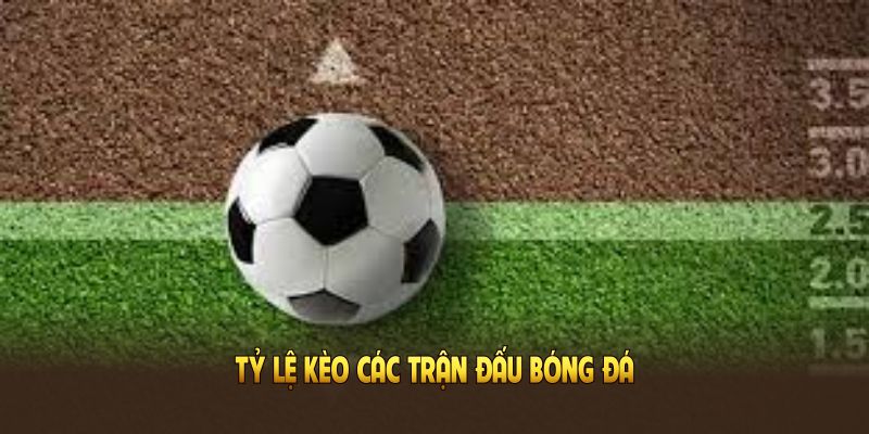 So sánh tỷ lệ kèo để bản thân luôn có lợi