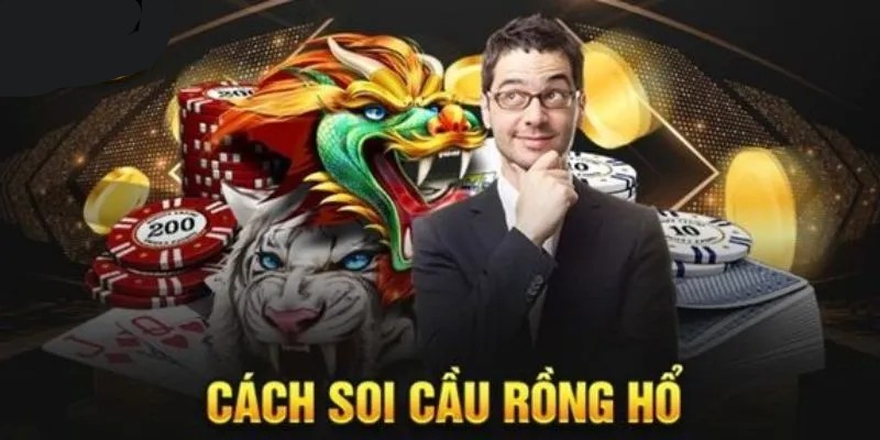 soi cầu rồng hổ ảnh đại diện